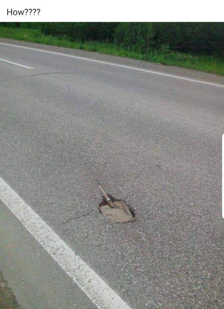 Describe this image